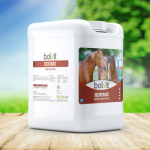 Bolvit Horse